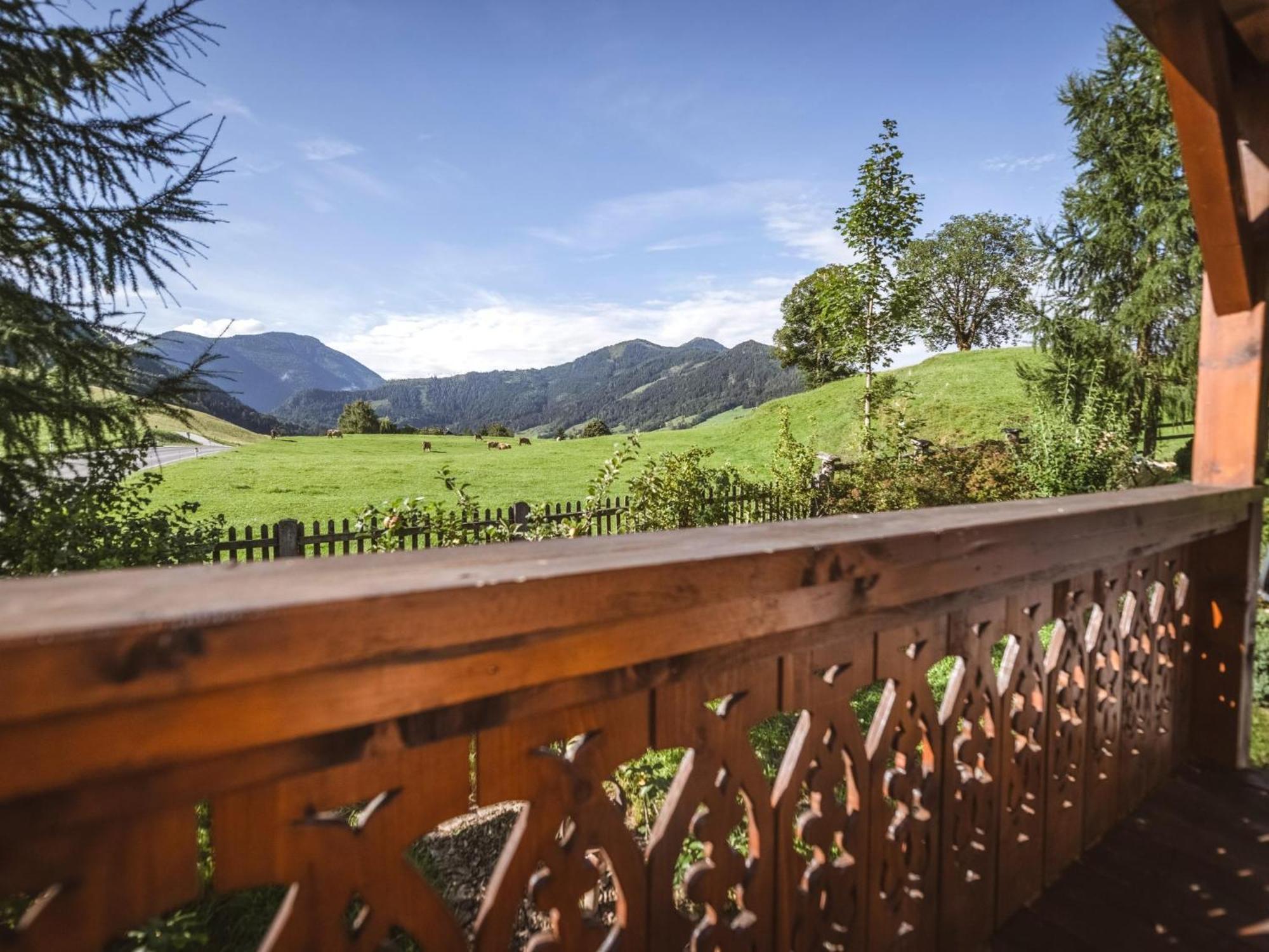 Naturpark Chalet Schladming-Dachstein Grosssolk Zewnętrze zdjęcie